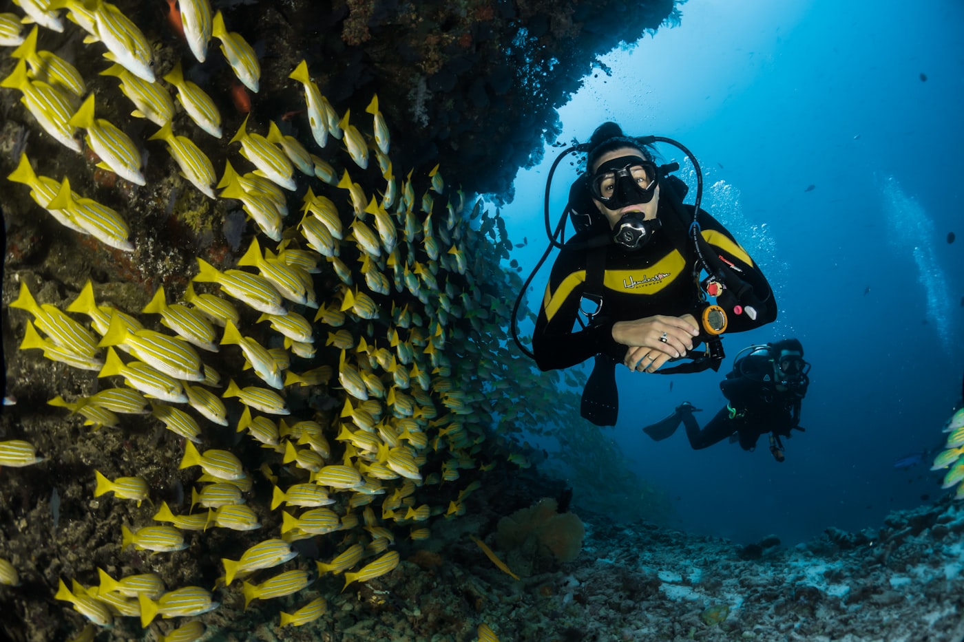 Scuba diver above pristine coral reef with sea turtle in crystal clear water
